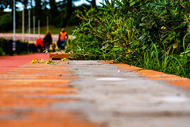 Sidewalk Cleaning Services in Jacksonville, FL
