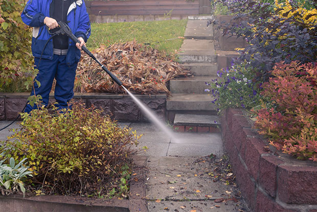 Mold and Mildew Prevention and Removal